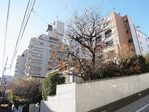 その他共用部 外観2