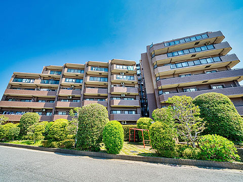 現地外観写真 外観