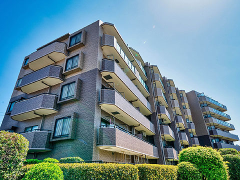 現地外観写真 外観