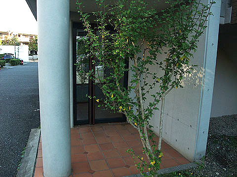 その他共用部　エントランス１