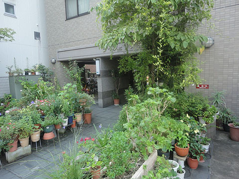 その他共用部 エントランス1