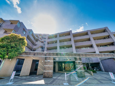 現地外観写真 外観