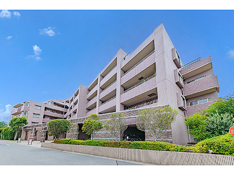 現地外観写真 外観