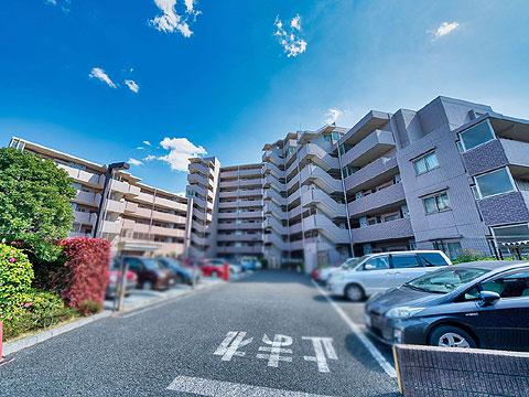 現地外観写真 外観