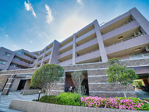 現地外観写真 外観