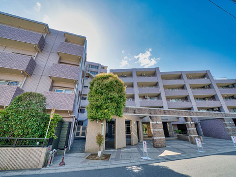 現地外観写真 外観