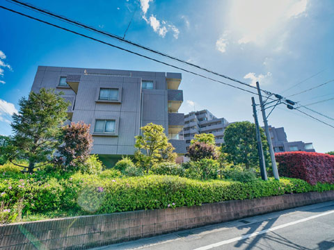 現地外観写真 外観