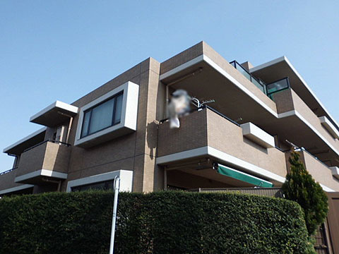 その他共用部　外観2