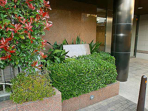 その他共用部　写真1