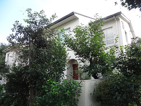 その他共用部　外観2