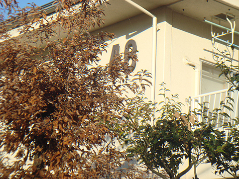 その他共用部 写真1