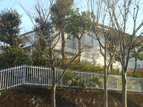 その他共用部 外観3