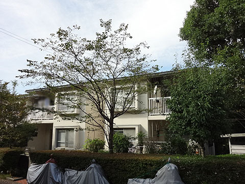 その他共用部　外観２