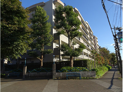 現地外観写真 外観