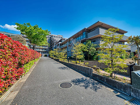 現地外観写真 外観