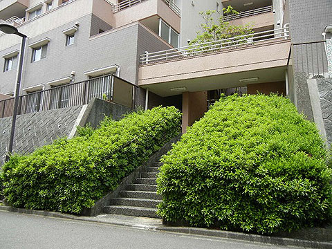 その他共用部 エントランス2