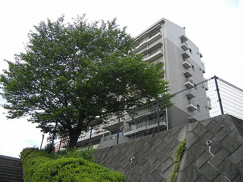 その他共用部 外観4