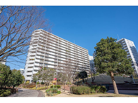 現地外観写真　外観１