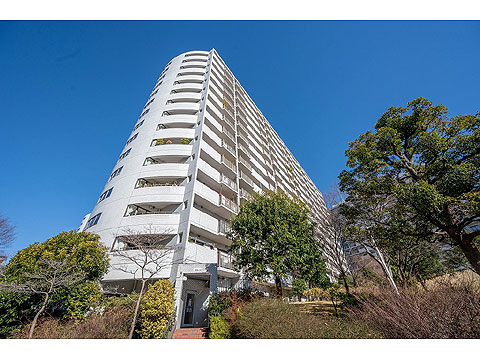 現地外観写真　外観２