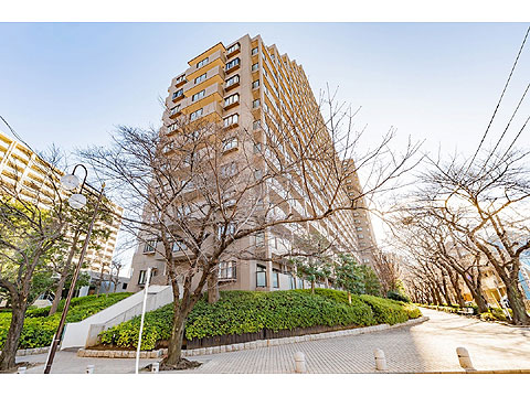 現地外観写真　外観写真２