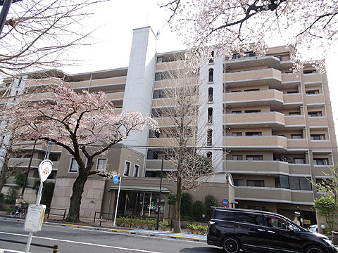 現地外観写真 現地外観