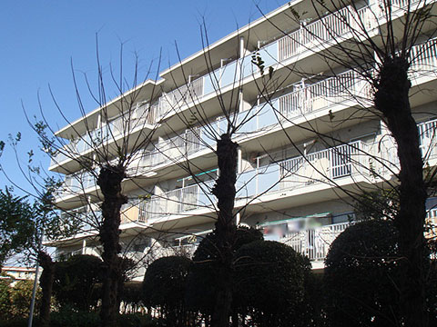 その他共用部　外観2