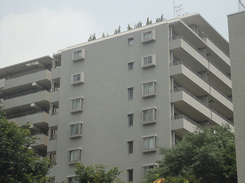 その他共用部　外観2