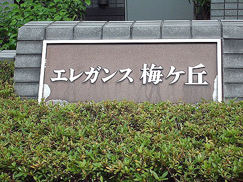 その他共用部 写真1