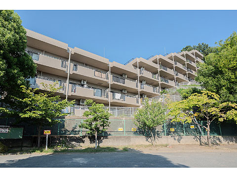 現地外観写真 外観