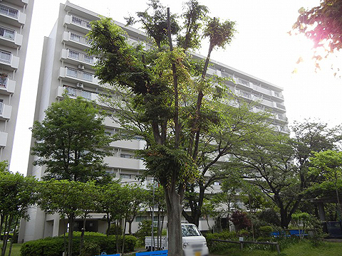 その他共用部 外観2