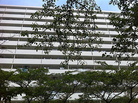 その他共用部　外観2