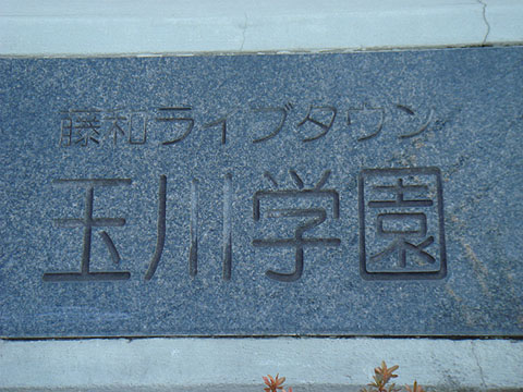 その他共用部 写真1