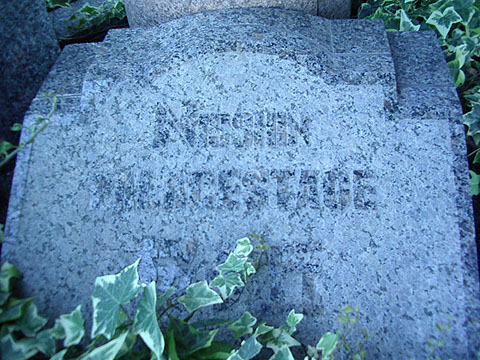 その他共用部　写真1