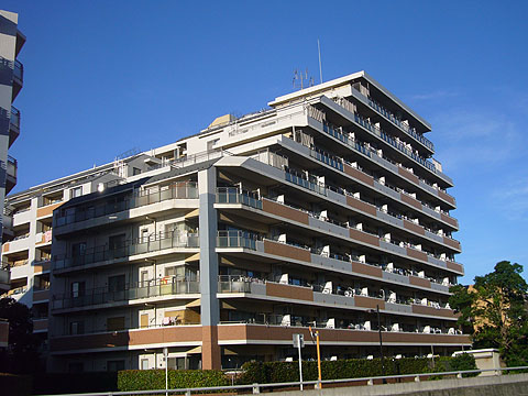 その他共用部 外観西側