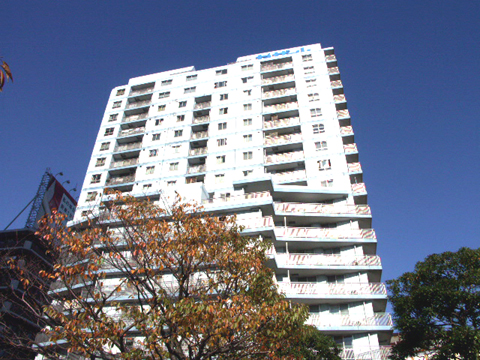 エントランス 20171203 129