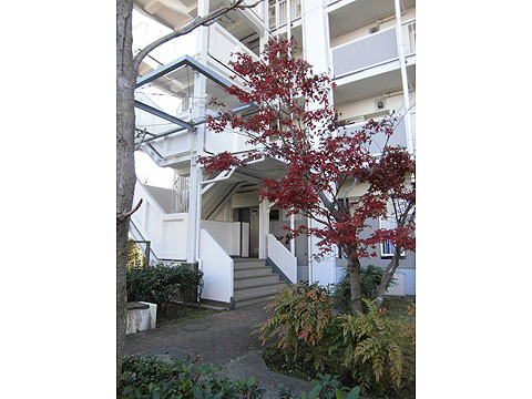 その他共用部　エントランス1