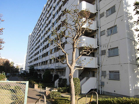 その他共用部　外観4