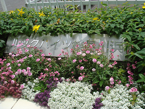 その他共用部　写真1