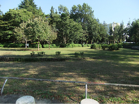 その他共用部　松戸中央公園