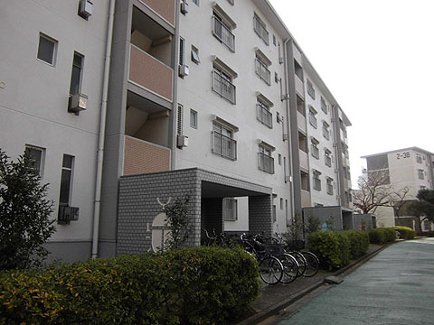 その他共用部　外観3