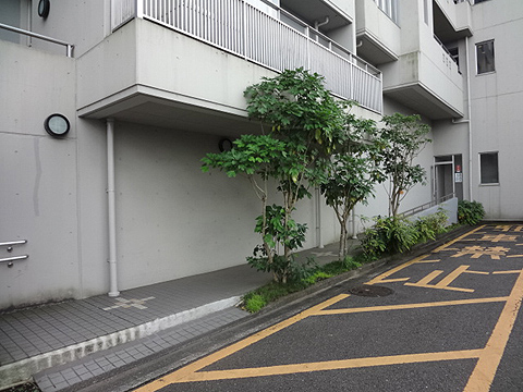 その他共用部　写真1