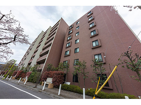 現地外観写真　外観