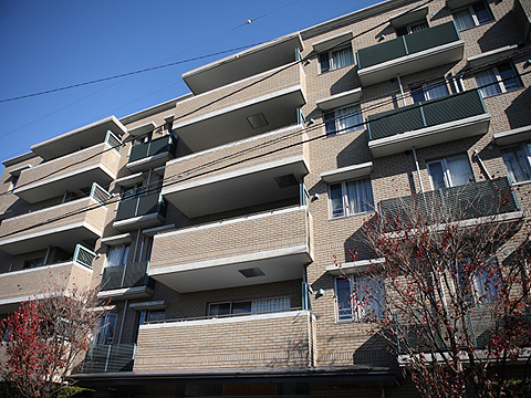 その他共用部　外観4