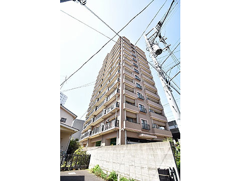 現地外観写真 外観