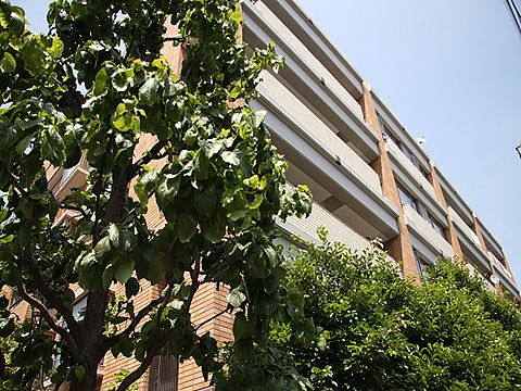 その他共用部　外観2