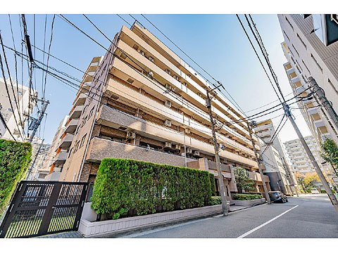 現地外観写真 外観2