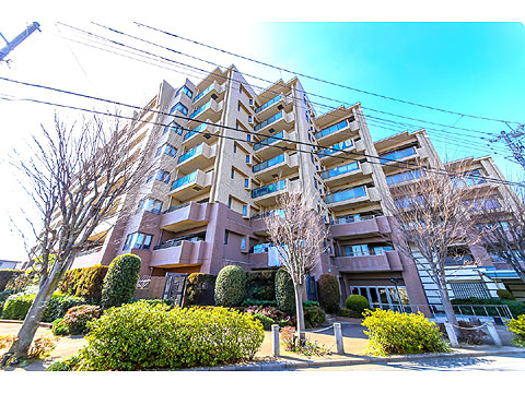 現地外観写真　レクセルマンション高根公団210-7