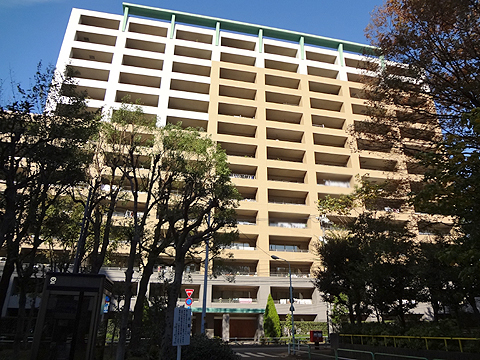 その他共用部　外観南側