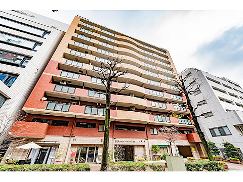 現地外観写真 外観2