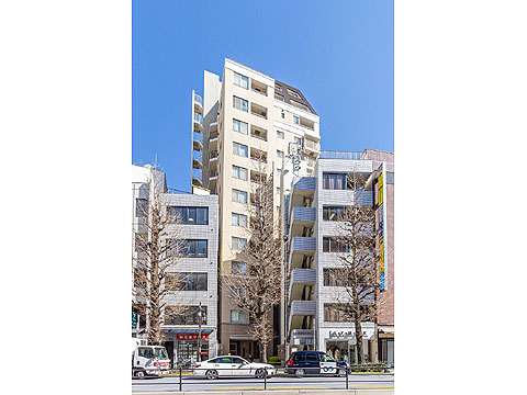 現地外観写真　●外観 (3)